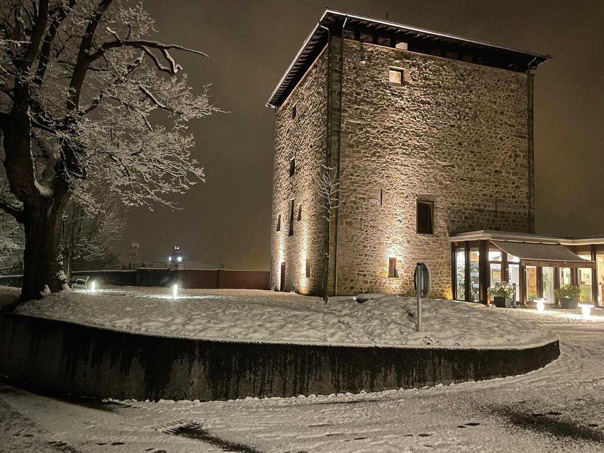 Hotel Torre Zumeltzegi Onate Exterior photo